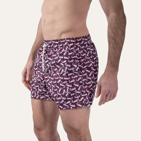 Swim Shorts Seahorse Burgundy - Swimshorts_Man - K A M P O S