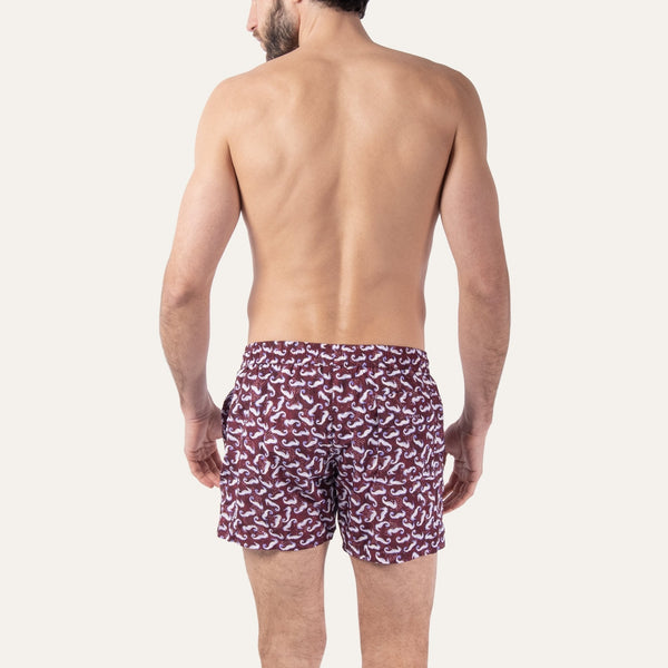 Swim Shorts Seahorse Burgundy - Swimshorts_Man - K A M P O S