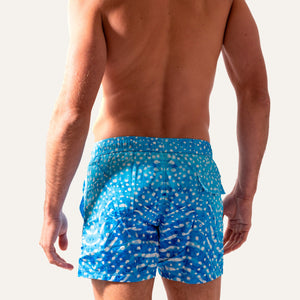 شورت سباحة بطبعة قرش الحوت