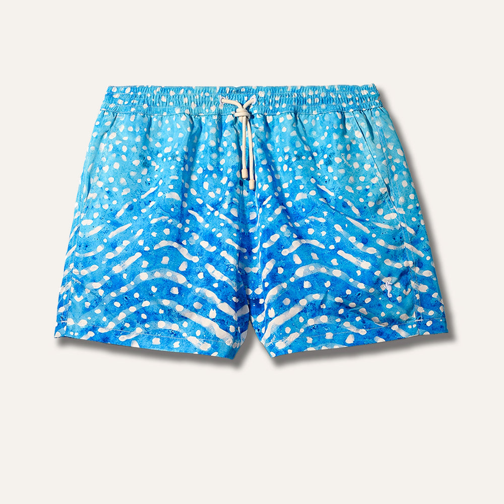 شورت سباحة بطبعة قرش الحوت