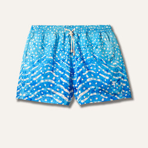 شورت سباحة بطبعة قرش الحوت